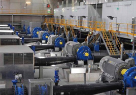 THE ROLLER BEARING COMPANY